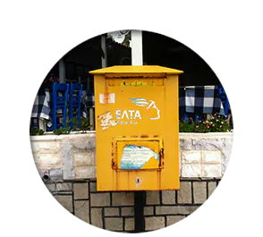 mail mail
